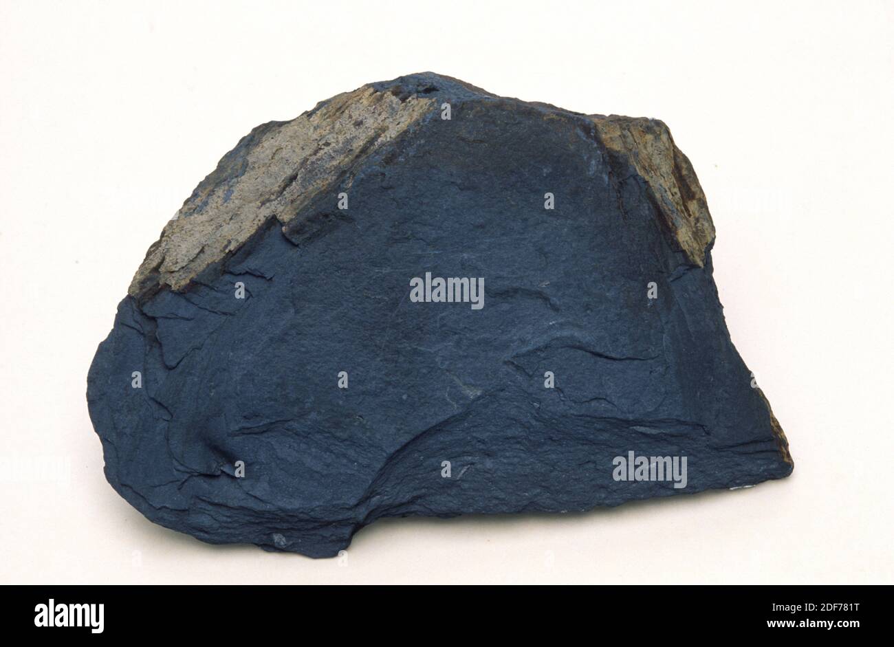 Schiefer ist ein Blatt metamorphisches Gestein. Probe. Stockfoto