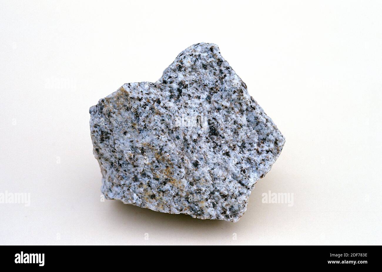 Tonalit oder Quarzdiorit ist ein intrusives, igneöses Gestein. Probe. Stockfoto