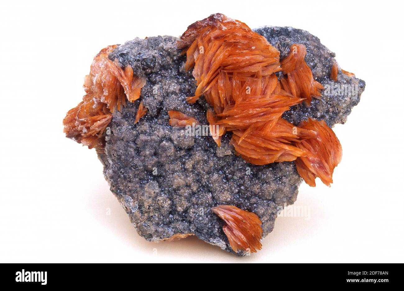 Baryte (orange) und Cerussit (grau). Baryte oder Barit ist ein Bariumsulfat-Mineral. Cerussite ist ein Bleikarbonat-Mineral. Kristallisierte Probe. Stockfoto