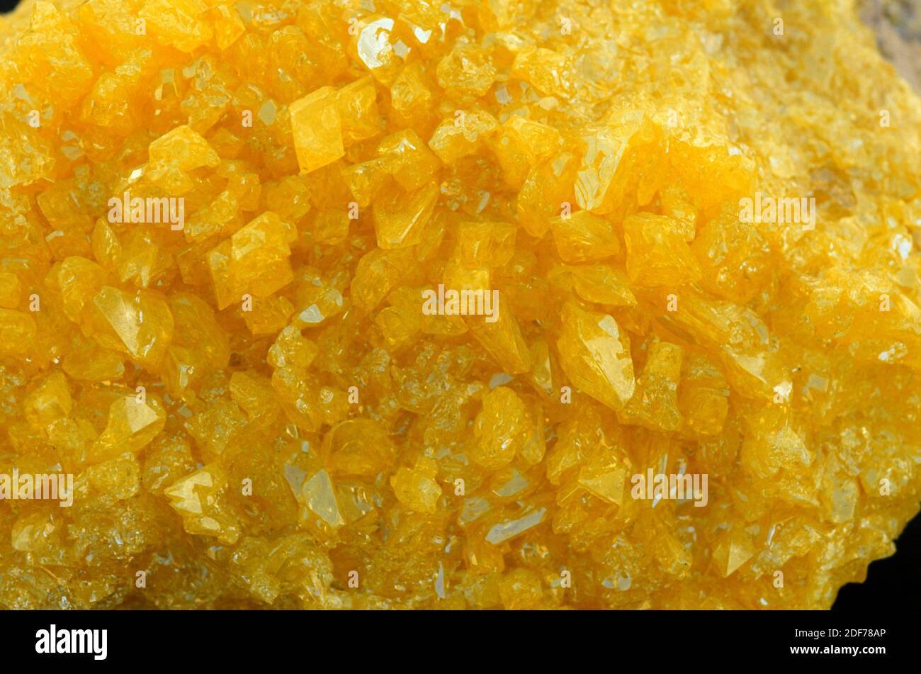 Schwefel oder Schwefel ist ein einheimischer Mineralstoff. Kristallisierte Probe. Stockfoto