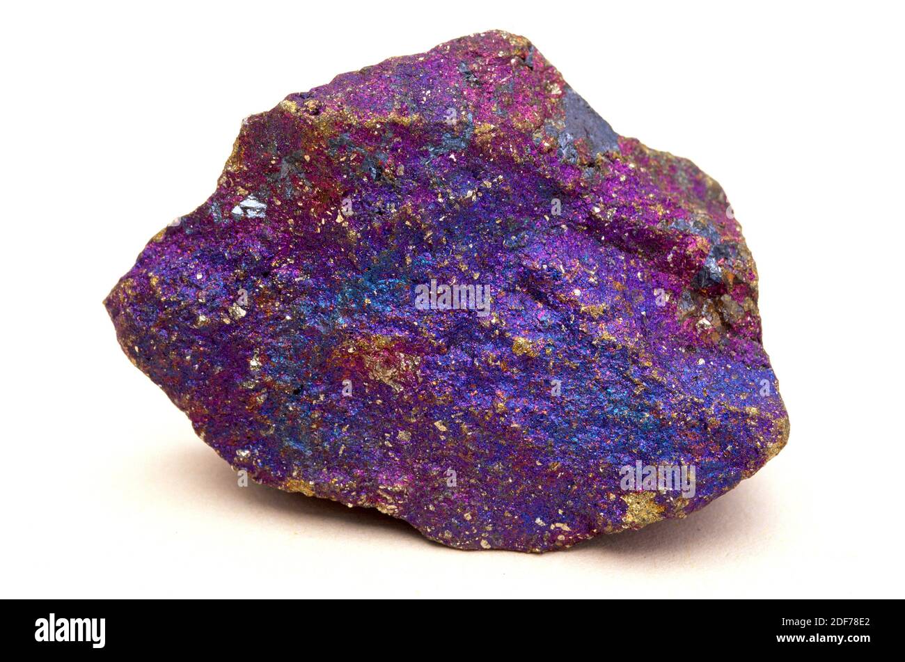 Chalkopyrit ist ein Kupfer-Eisen-Sulfid-Mineral. Schillernde Probe. Stockfoto