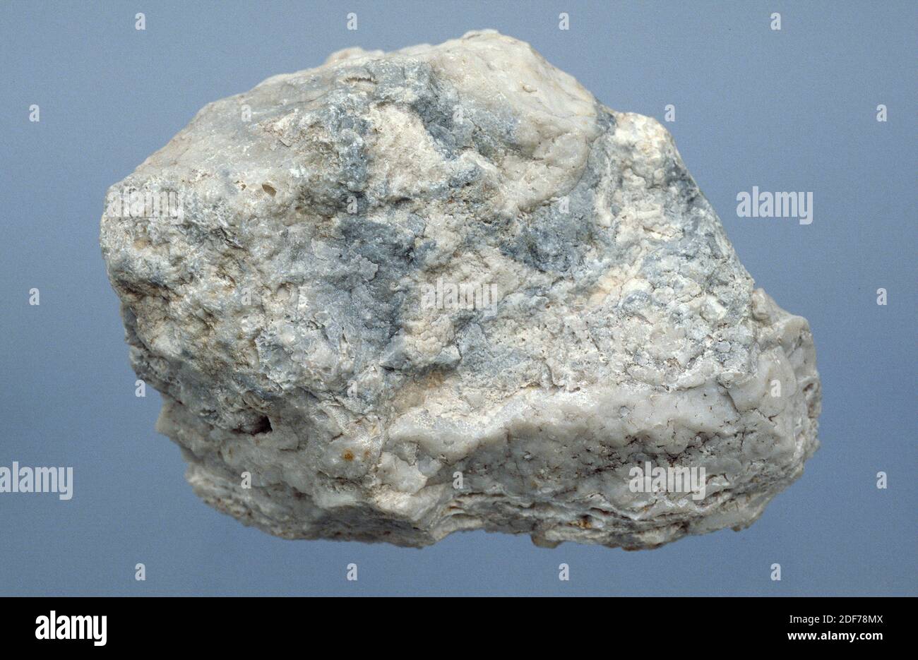 Phosphorit ist ein Sedimentgestein, das reich an phosphorhaltigen Mineralien ist. Stockfoto