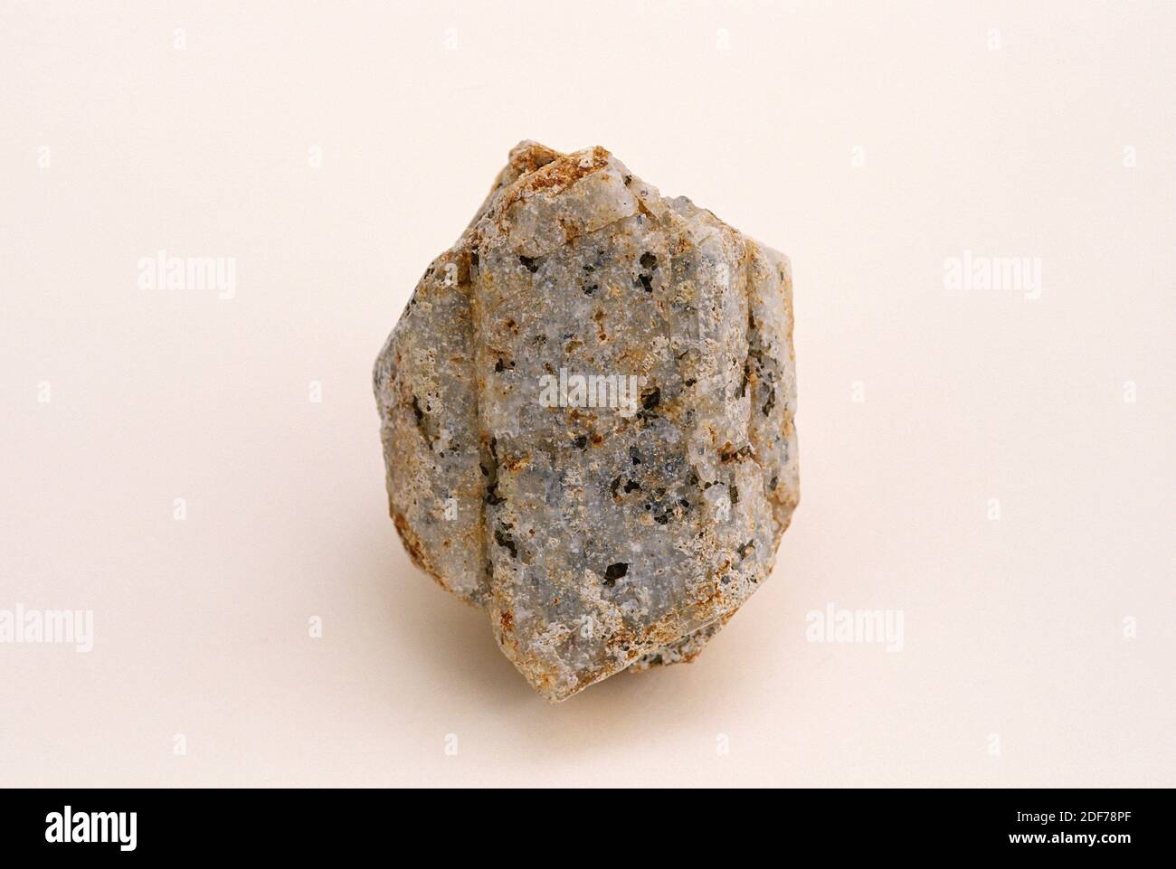 Sanidin ist ein Kaliumaluminium-Silikat-Mineral. Carlsbad Twinning. Stockfoto