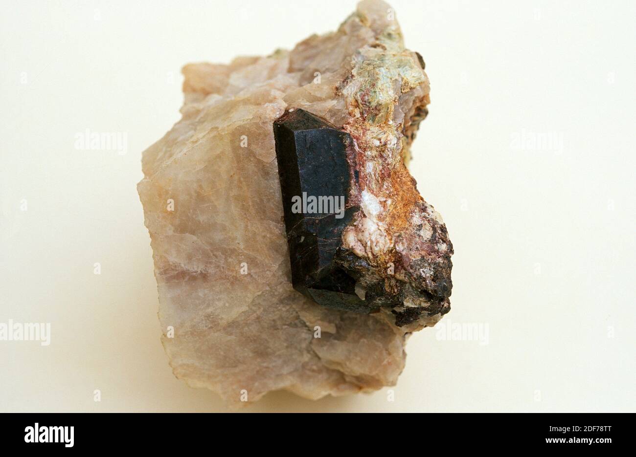Rutil ist ein Titanoxid-Mineral. Prismatischer Kristall auf Matrix. Stockfoto