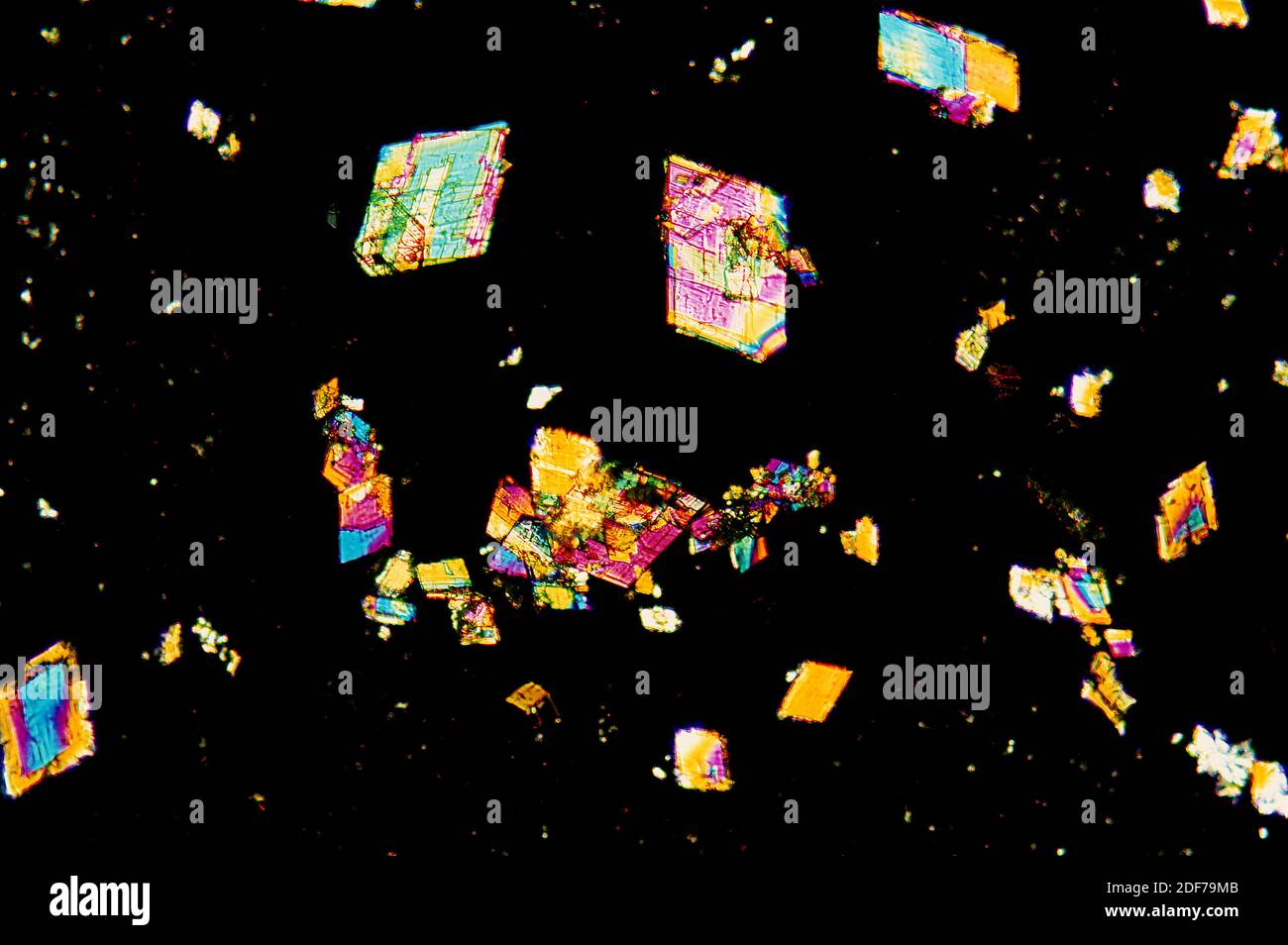 L-Phenylalanin-Kristalle. Photomikrograph polarisiertes Licht. Stockfoto