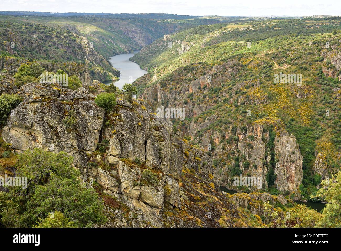 Duero River vom Aussichtspunkt Las Barrancas. Fariza, Naturpark Arribes del Duero, Provinz Zamora, Castilla y Leon, Spanien. Stockfoto