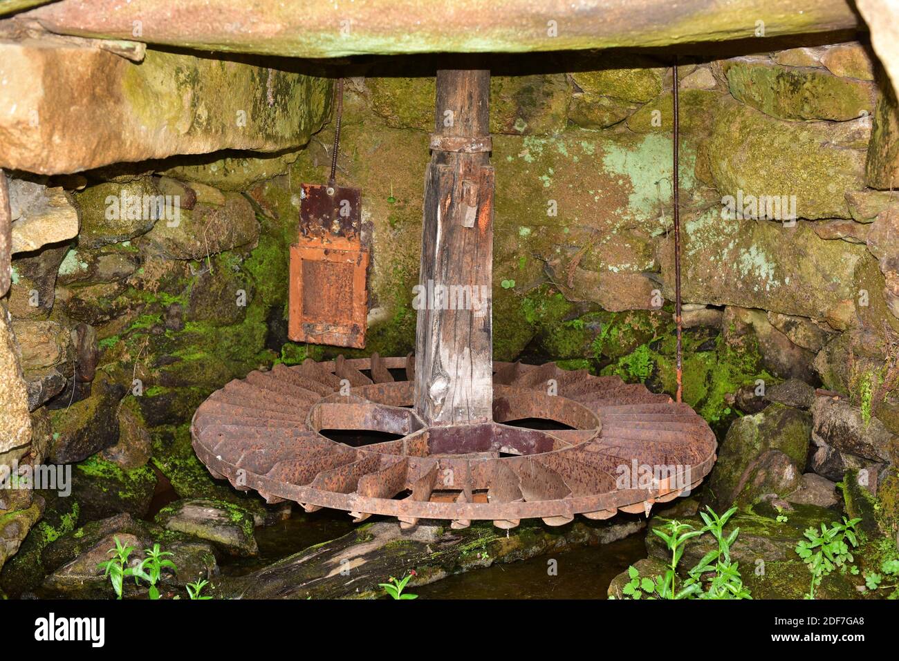Hydraulikmühle (Molino de Serafin). Raddetail (rodezno). Mamoles, Fariza Gemeinde, Sayago, Zamora Provinz, Castilla y Leon, Spanien. Stockfoto