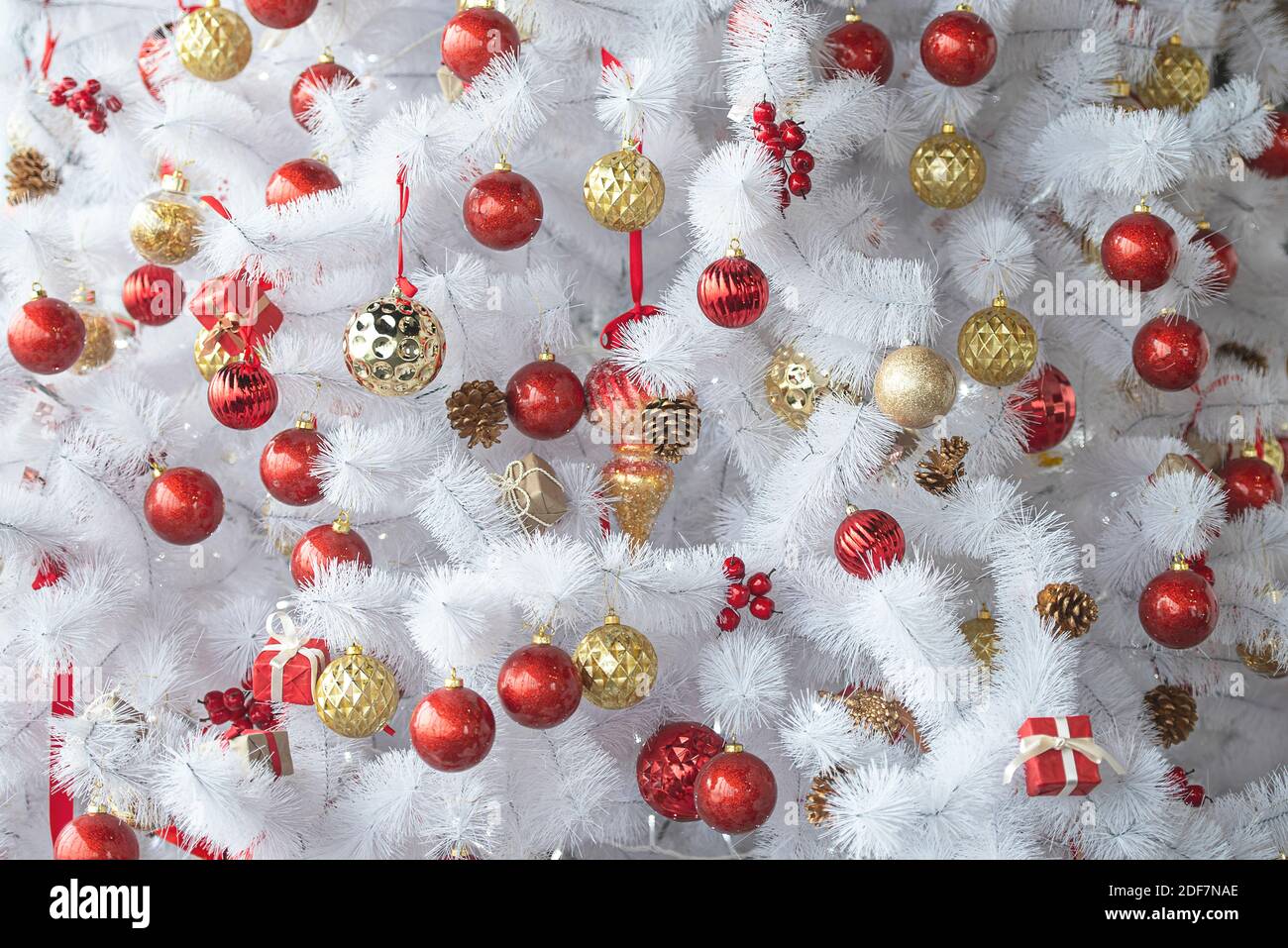 Weißer oder silberner Weihnachtsbaum mit roten, goldenen Spielzeugen, Neujahrskomposition Stockfoto