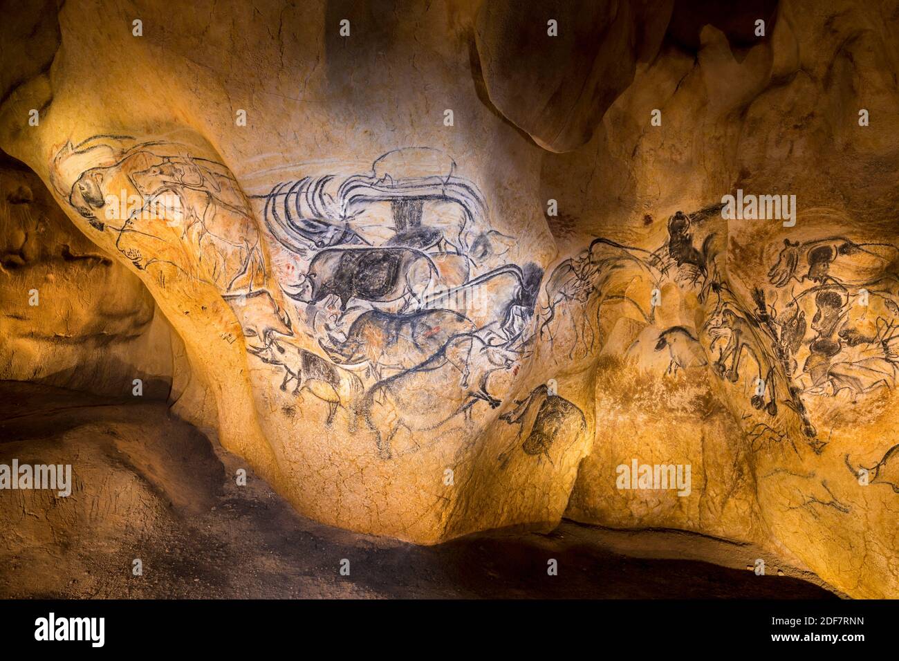 Frankreich, Ardeche, Vallon Pont d'Arc, Höhle von Pont d'Arc, exakte Nachbildung der Chauvet-Höhle, die von der UNESCO zum Weltkulturerbe erklärt wurde, Löwentafel Stockfoto