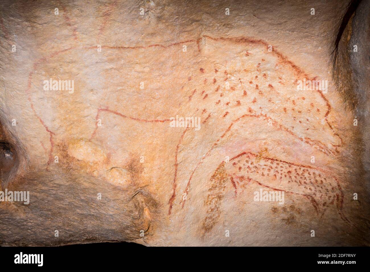Frankreich, Ardeche, Vallon Pont d'Arc, Höhle von Pont d'Arc, exakte Nachbildung der Chauvet-Höhle, die von der UNESCO, Hyena, zum Weltkulturerbe erklärt wurde Stockfoto