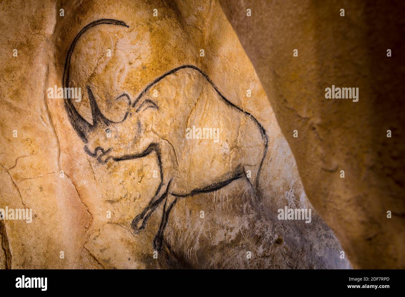 Frankreich, Ardeche, Vallon Pont d'Arc, Höhle von Pont d'Arc, exakte Nachbildung der Chauvet-Höhle, von der UNESCO zum Weltkulturerbe erklärt, Rhinoceros Stockfoto