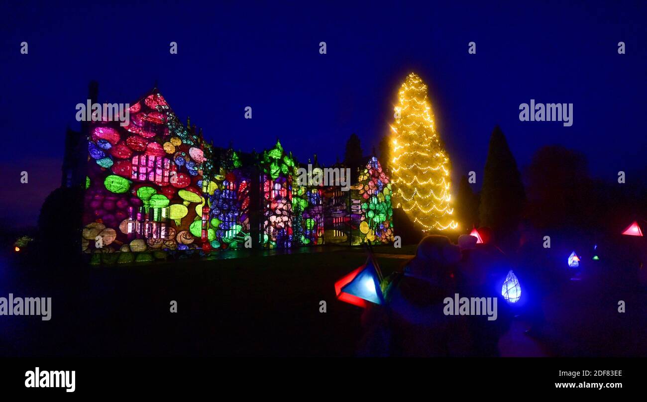 Wakehurst , Haywards Heath UK 3. Dezember 2020 - Besucher genießen die Eröffnungsnacht des Glow Wild Laternenpfades am Wakehurst in Sussex, der in diesem Jahr verborgene Helden der Natur feiert. Zu den Highlights gehören riesige schwimmende Löwenzahn-Samenköpfe, ein Märchenpilzfeld und der höchste Weihnachtsbaum Großbritanniens : Credit Simon Dack / Alamy Live News Stockfoto