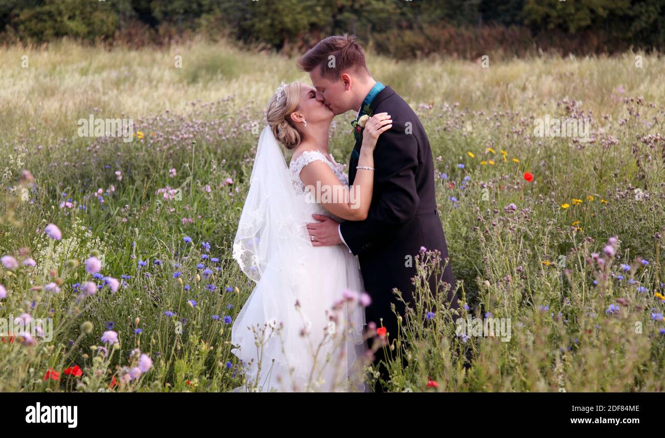 Braut und Bräutigam küssen in Wildblumenwiese. Bräutigam in einem Anzug und Braut in einem weißen Hochzeitskleid. Stockfoto