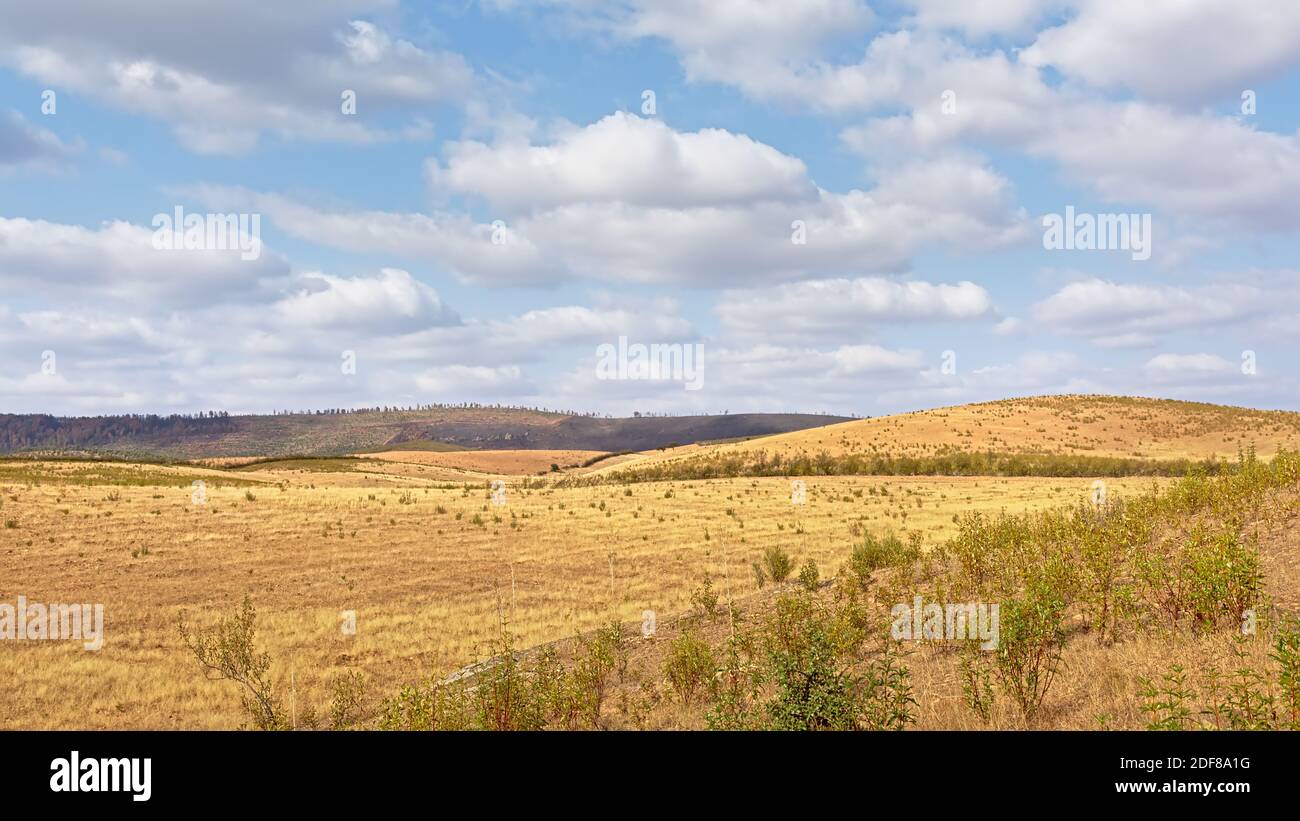 Landschaft mit kargen Hügeln und Tal der spanischen Landschaft an einem suny Tag mit weichen Wolken in la Codosera, Extremadura, Spanien, Europa Stockfoto