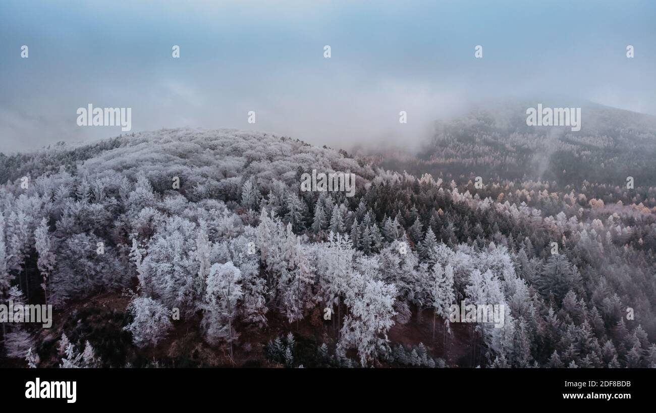 Winter Waldlandschaft Blick von oben.Frosty Wald Luftdrohne Blick.idyllisch Naturlandschaft aus der Vogelperspektive.Draufsicht Bäume.Urlaub Freiheit Tra Stockfoto