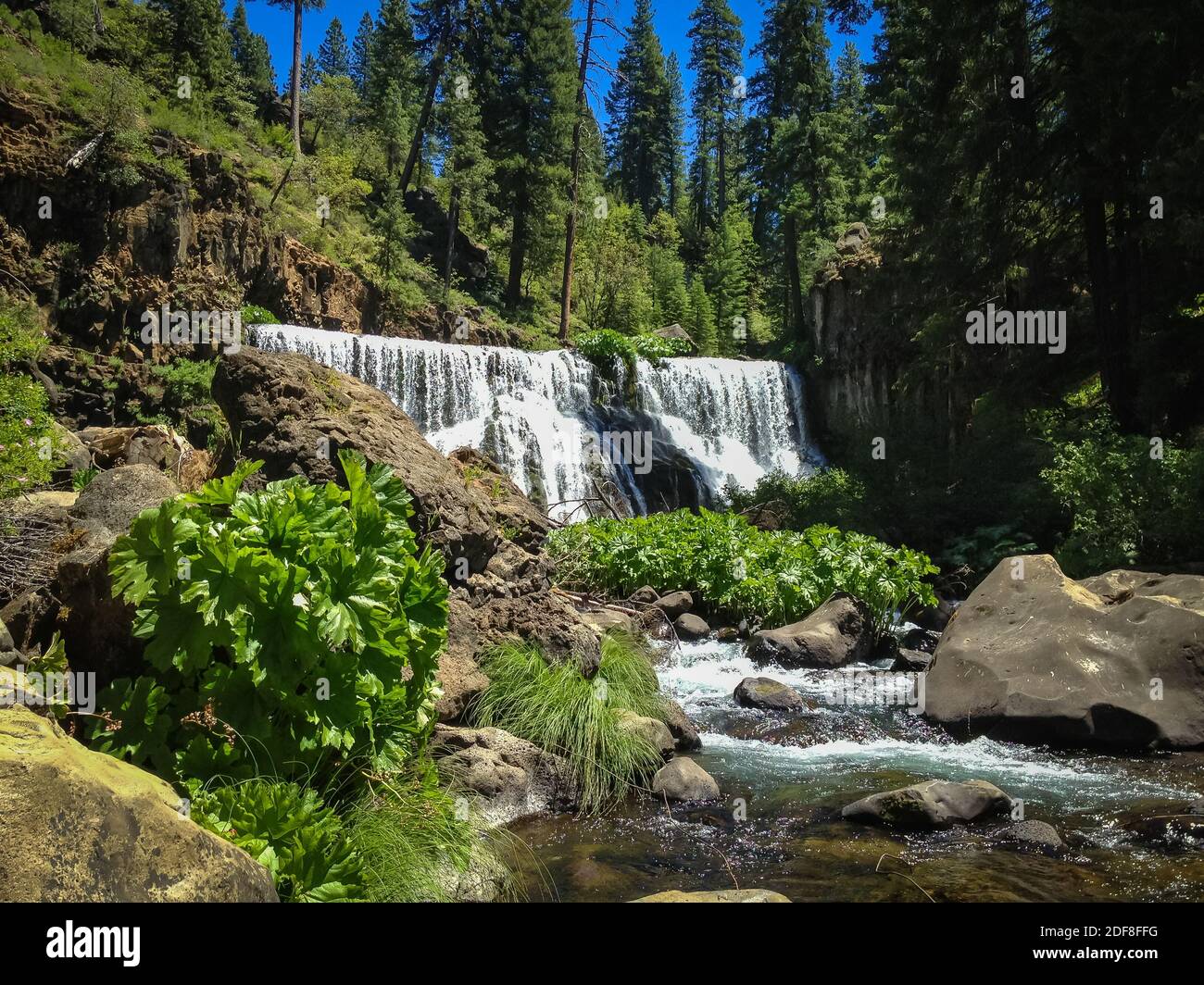 Malerische Aussicht auf die McCloud River Falls in Mt. Shasta Region, Kalifornien, USA Stockfoto