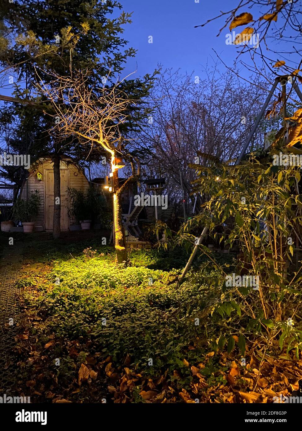 Romantischer Garten Mit Nachtbeleuchtung Stockfoto