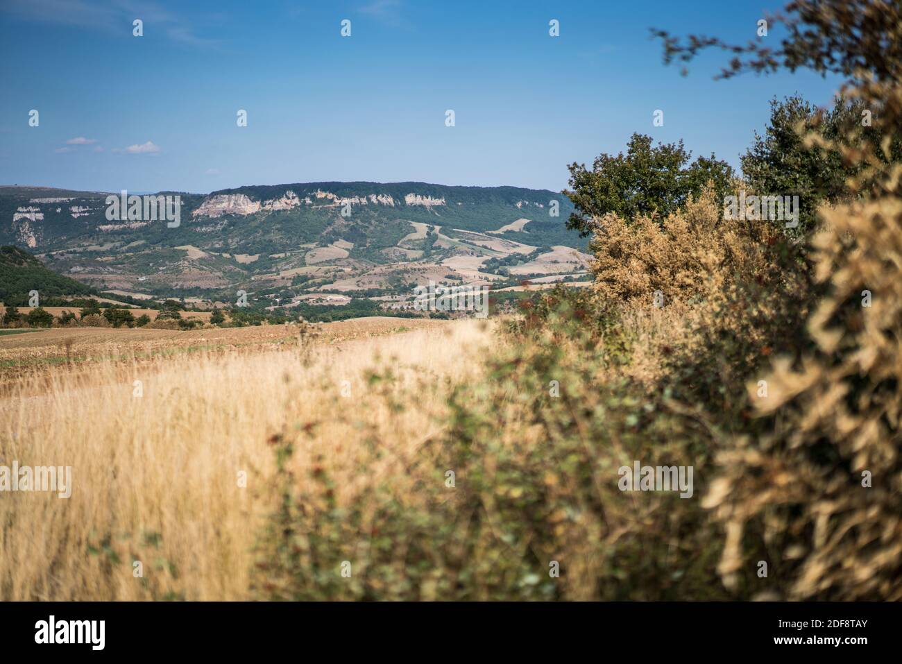 Landschaft in der Nähe des Roquefort-sur-Soulzon, Frankreich, Europa. Stockfoto