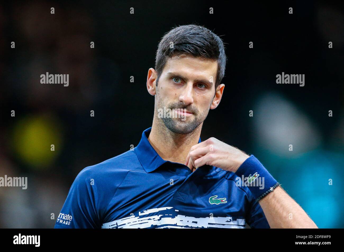 Novak Djokovic (SRB) in Aktion während der Rolex Paris Masters, ½ FINALE, Spiel zwischen Novak Djokovic (SRB) und Grigor Dimitrov (BUL), Tag 06, im Hotel Accord Arena, am 02. November 2019, in Paris, Frankreich. Foto von Antonio Borga/Avenir Pictures/ABACAPRESS.COM Stockfoto