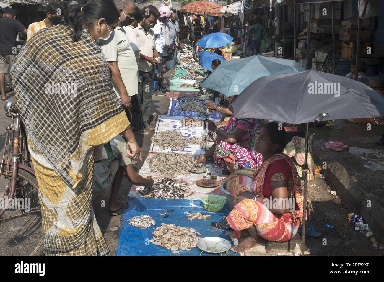Die Indianer kaufen Fisch bei Muchi bazzar in Kalkutta. Indien durchläuft eine 21-tägige Sperre für die Corona-Virus-Pandemie. Da die Regierung am Morgen Lockerung zur Absperrung gab, um für den täglichen Bedarf einzukaufen, also weder die soziale Distanzierung noch die Menschen Schutzmasken und Handschuhe benutzen, sind die Behörden nun besorgt über die Ausbreitung der Krankheit. Kolkata, Westbengalen, Indien am 2. April 2020. Foto von Arindam Mukherjee/ABACAPRESS.COM. Stockfoto
