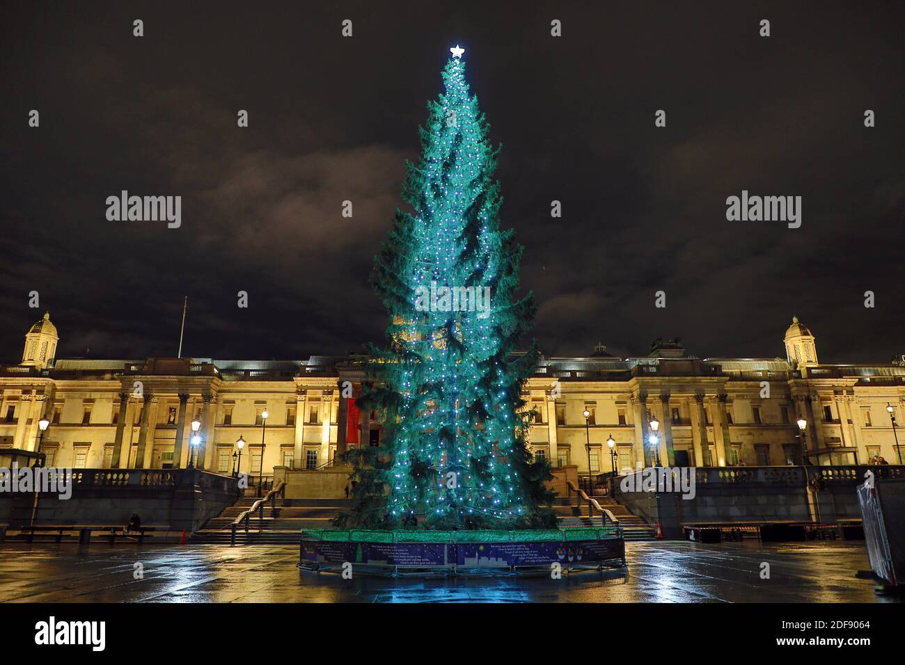 London, Großbritannien. Dezember 2020. Trafalgar Square Christmas Tree Lights schaltete in Trafalgar Square, London Kredit: Paul Brown/Alamy Live News Stockfoto