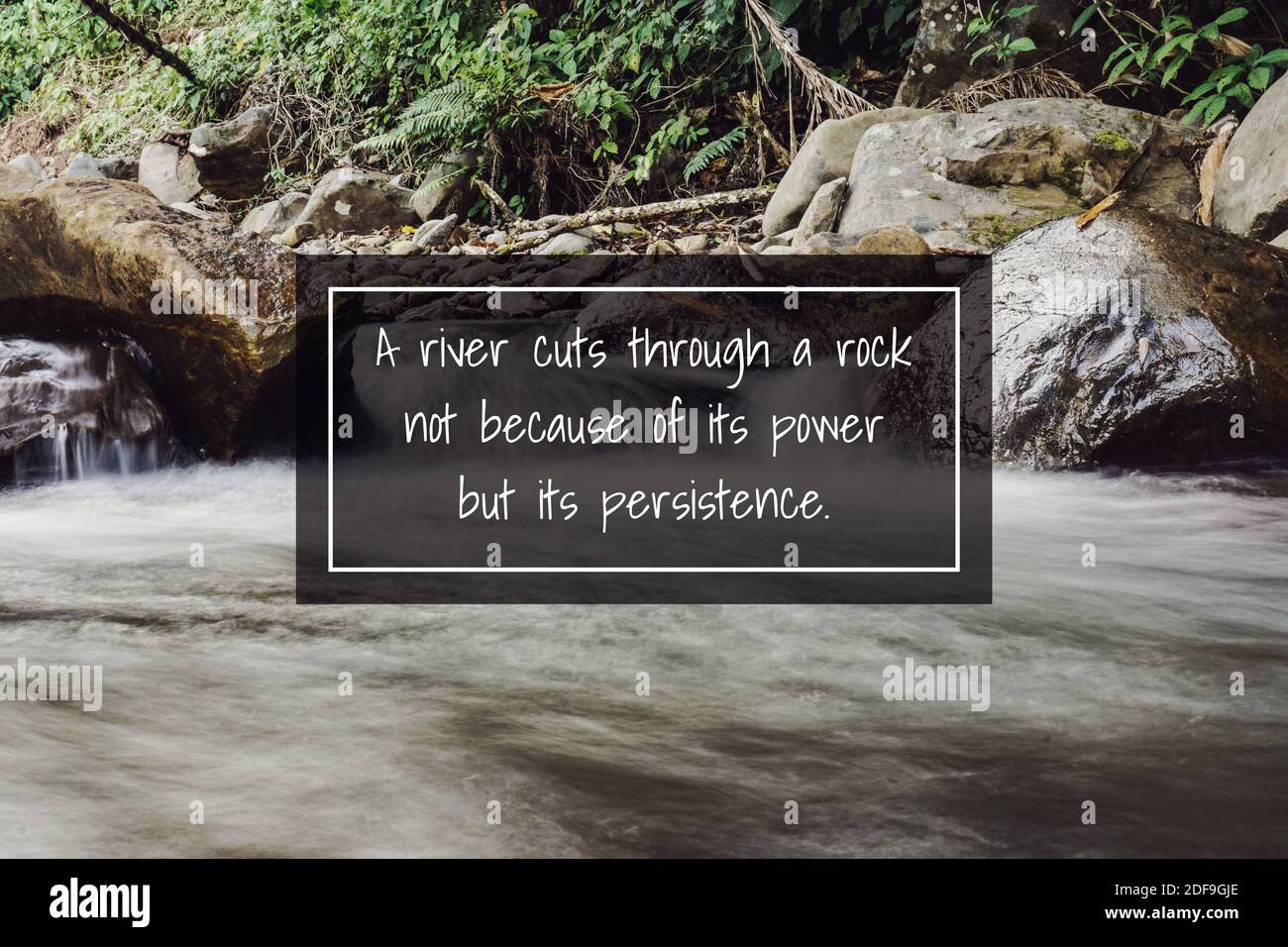 Motivierendes und inspirierendes Zitat. Fließender Fluss im Dschungel mit Selbstbestimmung Weisheit Zitat. Stockfoto