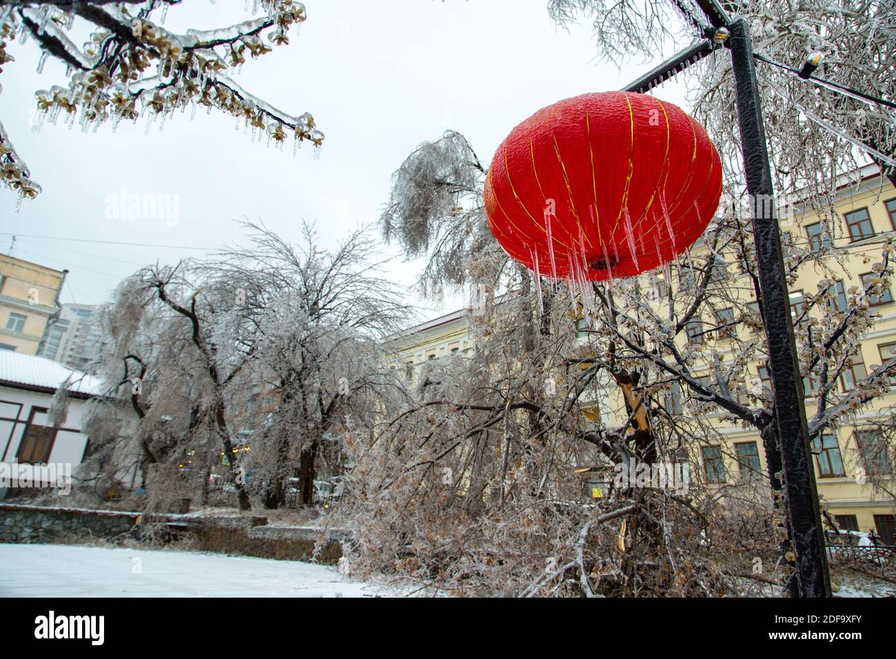 Eine chinesische rote Laterne hängt im Winter auf der Straße, es ist sehr eisig, Eiszapfen hängen. Vor dem Hintergrund von Glühbirnen in der Stadt. Stockfoto