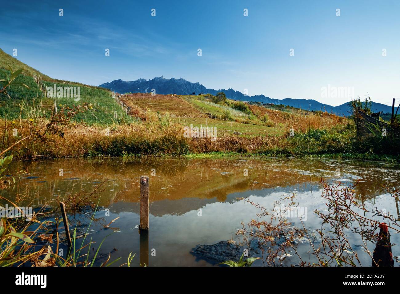 Ein Teich in einem Bauerndorf. Schöne Landschaft Kundasang Blick in der Nähe von Mount Kinabalu. Stockfoto