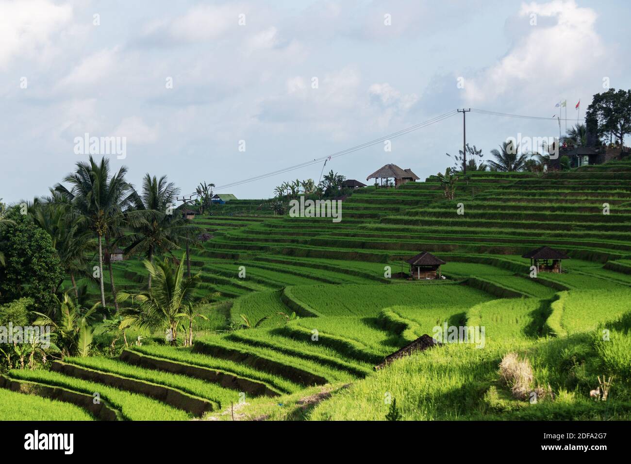 Die große Jatiluwih, Bali Reis Terrasse Farm. Stockfoto