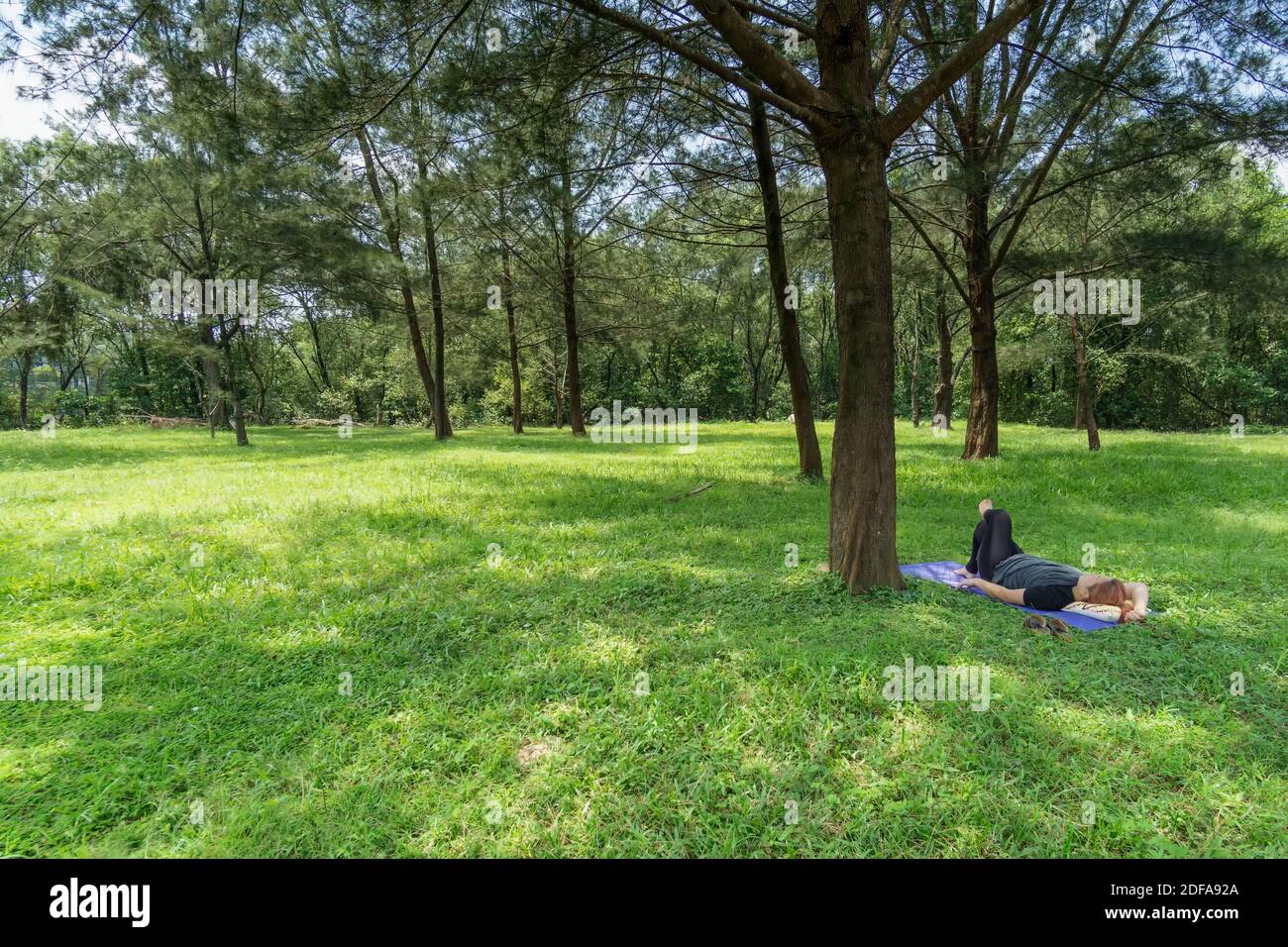 Frau, die sich auf Gras unter Schatten der Bäume legt. Stockfoto