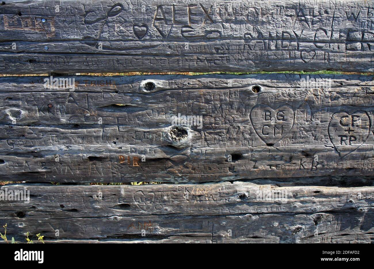 Namen und Liebesnotizen in eine Holzbank eingeätzt zurück. Stockfoto