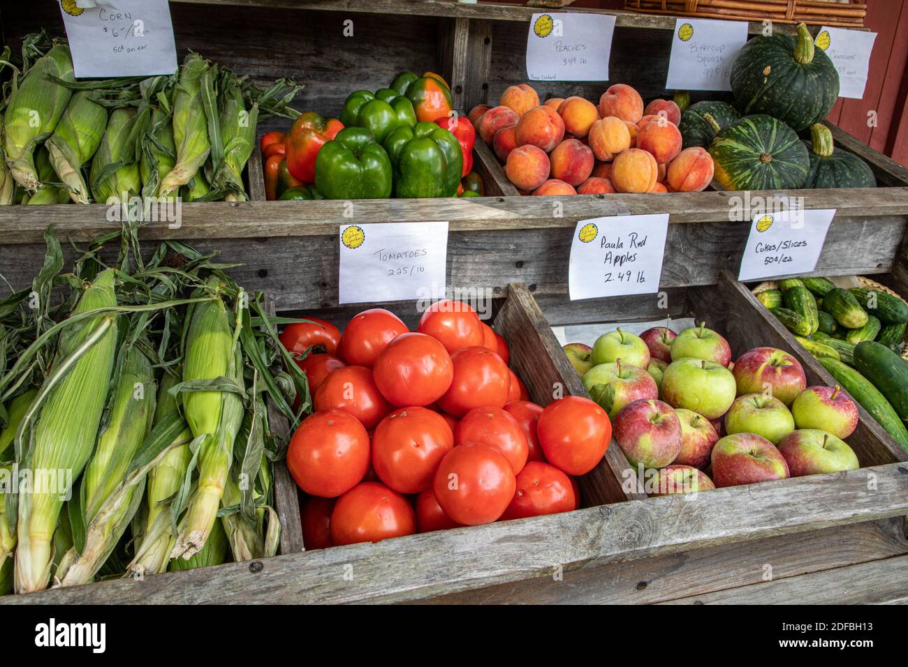 Der Kitchen Garden in Templeton, Massachusetts, bietet eine feine Auswahl an frischem Gemüse Stockfoto