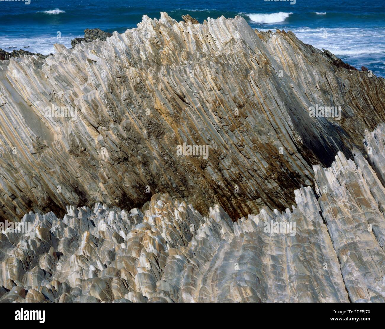 Monterey Schiefer, Montana de Oro State Park, San Luis Obispo County, Kalifornien Stockfoto