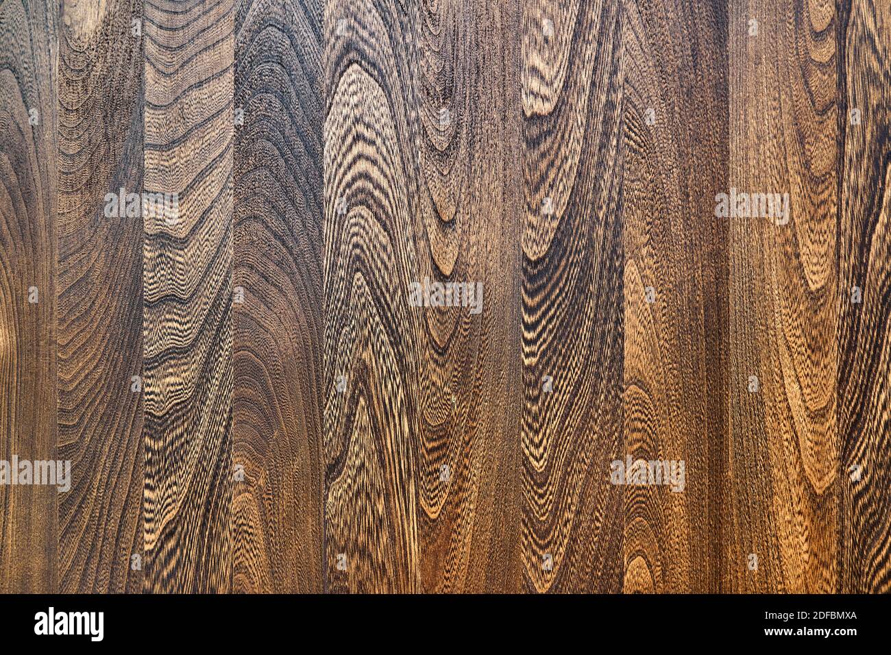 Holzstruktur. Ulmenholz-Textur. Elm Holz Rand geklebte Platte Nahaufnahme Stockfoto