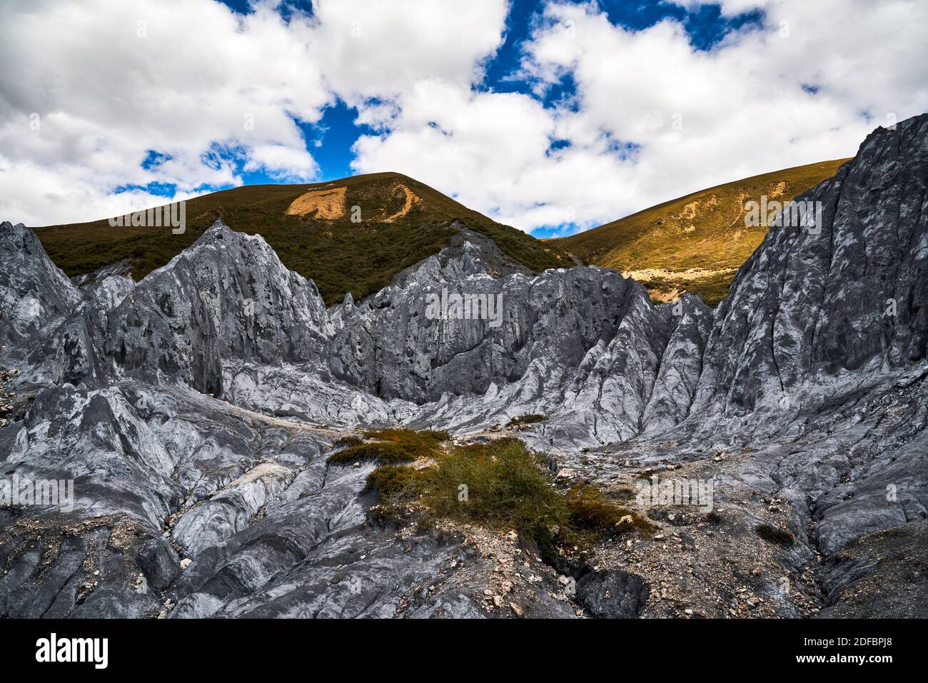 Bamei Stone Forest ist Chinas einzige Hochplateau-Steinwaldlandschaft, ein beeindruckender und einzigartiger geologischer Park namens Moshi Park (Stone Forest). Stockfoto