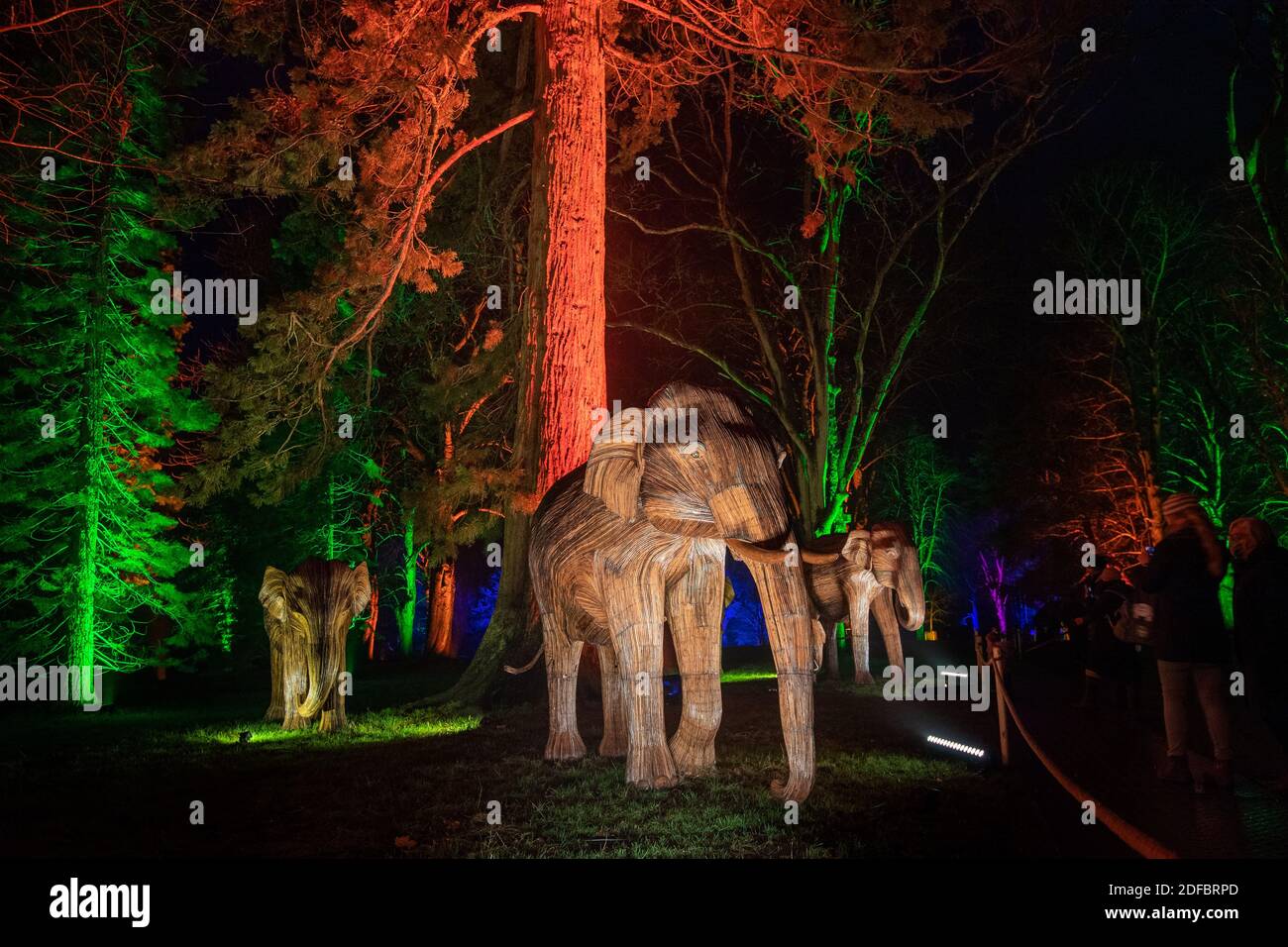 Festliche Lichter erleuchten die Elefanten-Skulpturen entlang des Winter Light Trail im Waddesdon Manor in Aylesbury, Buckinghamshire. Die jährliche Weihnachtsveranstaltung wurde in diesem Jahr angepasst und nach draußen verlegt, um Besuchern ein sicheres Erlebnis zu ermöglichen. Stockfoto