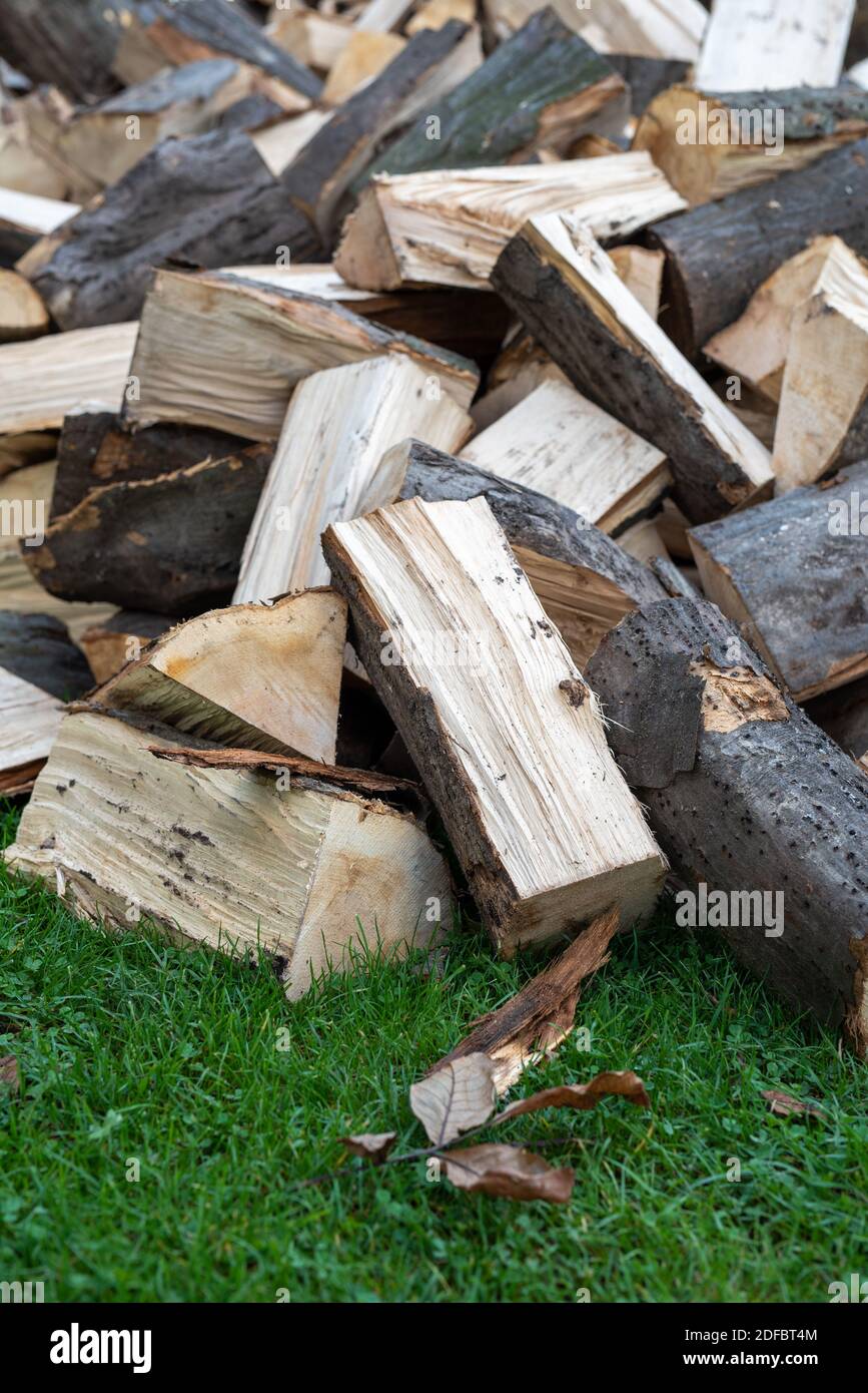Geviertelte Hainbuche Brennholz stapeln auf grünem Gras Stockfoto