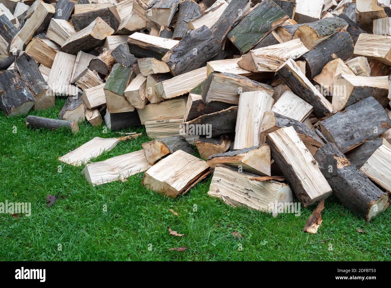Geviertelte Hainbuche Brennholz stapeln auf grünem Gras Stockfoto