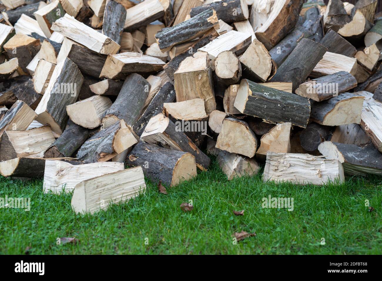 Hainbuche Brennholz Stapel auf grünem Gras Stockfoto
