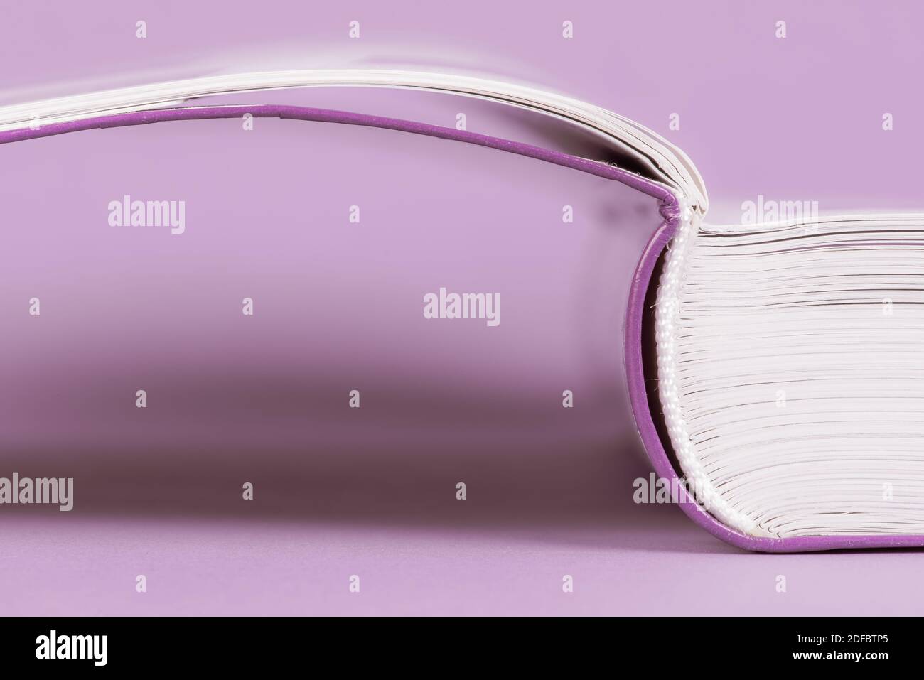 Öffnen Sie die Nahaufnahme des Buches auf einem leeren violetten Hintergrund Stockfoto