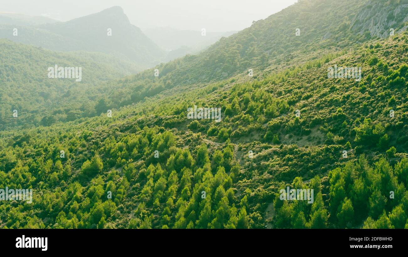 Grüne Hügel und Feldlandschaft bei Sonnenuntergang. Naturhintergrund mit nebligen Himmel. Luftaufnahme des Berggipfens Stockfoto