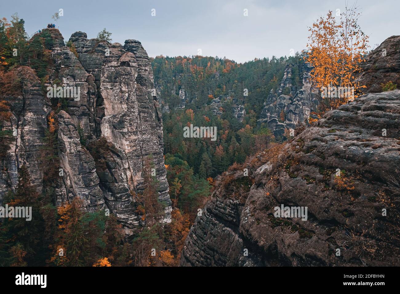Sächsische Schweiz Stockfoto