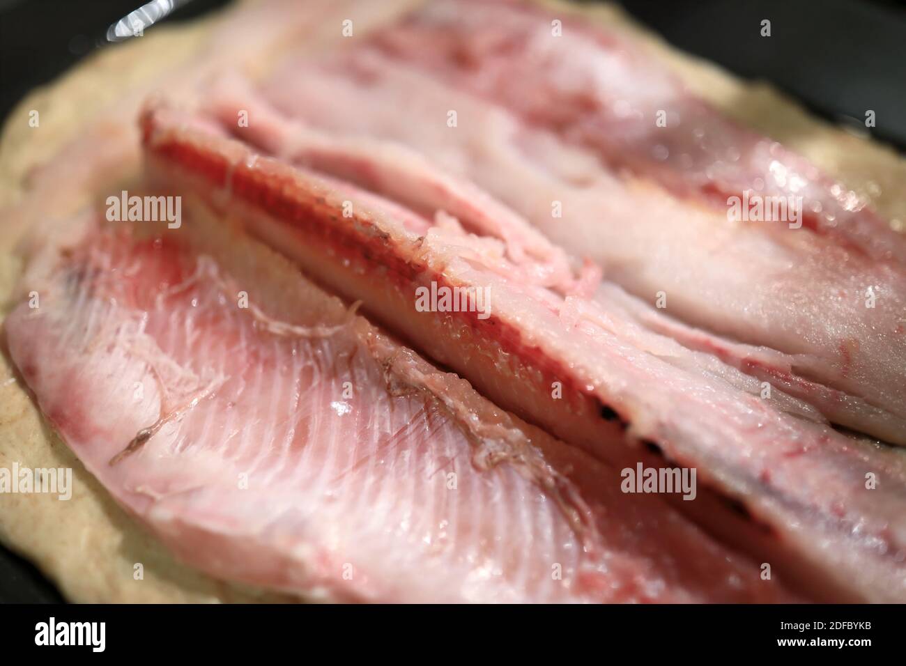 Muksun-Filet auf Teig für die Herstellung von Fischkuchen Stockfoto