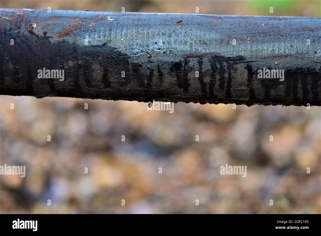 Nahaufnahme eines hölzernen schwarzen Weidezauns gegen eine verschwommene Hintergrund Stockfoto