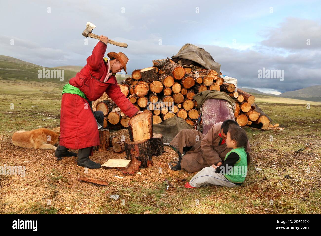 Mongolei, nomadische Rentierhirten, Tsaatan Dukha, Tsaatan Mann hacken Holz mit einer Axt für Feuer Stockfoto