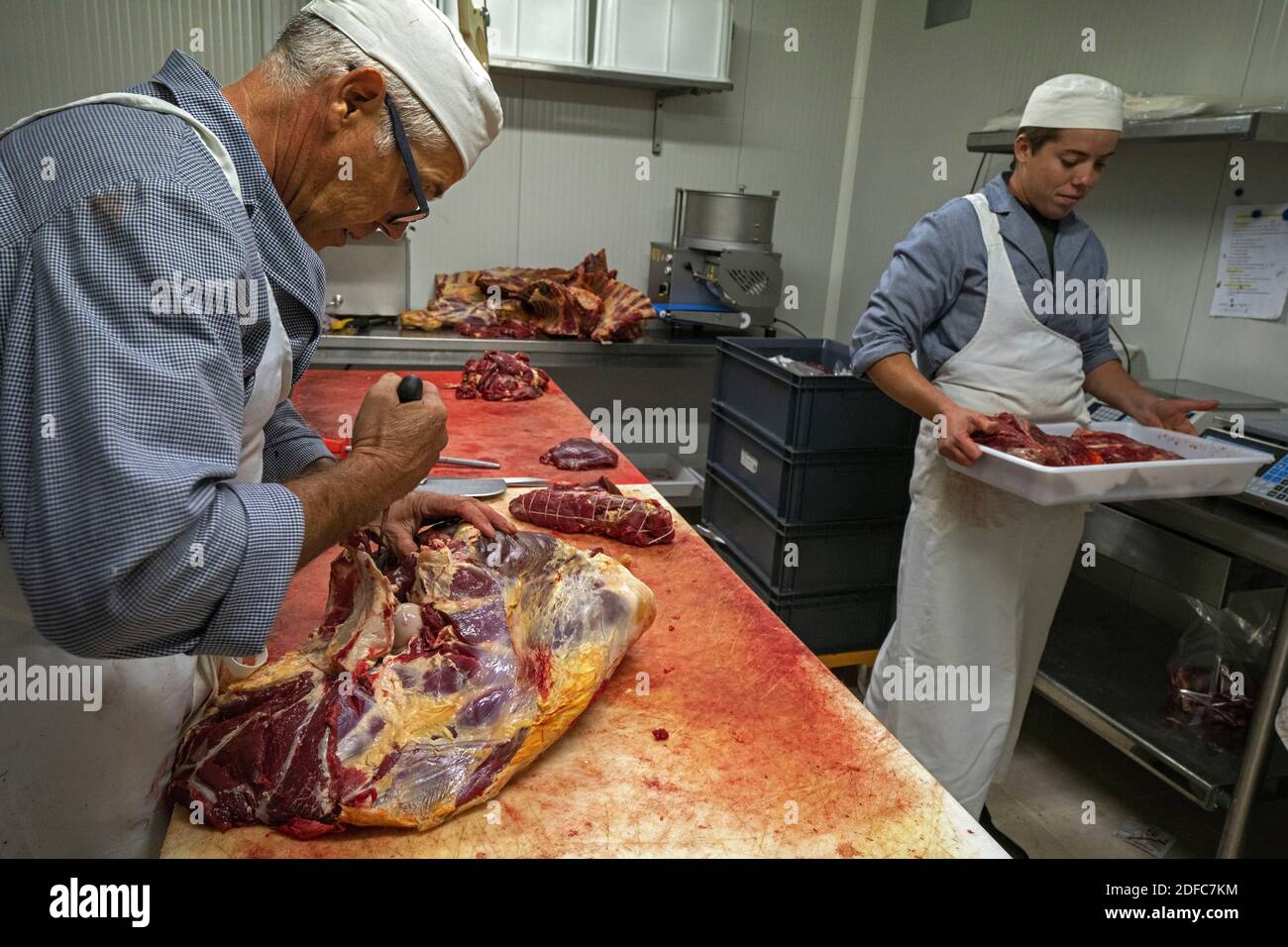 Frankreich, Occitanie, Gard, Aubais, Thierry Teyssier Ranch Besitzer und Metzger in Stieren Fleisch Stockfoto