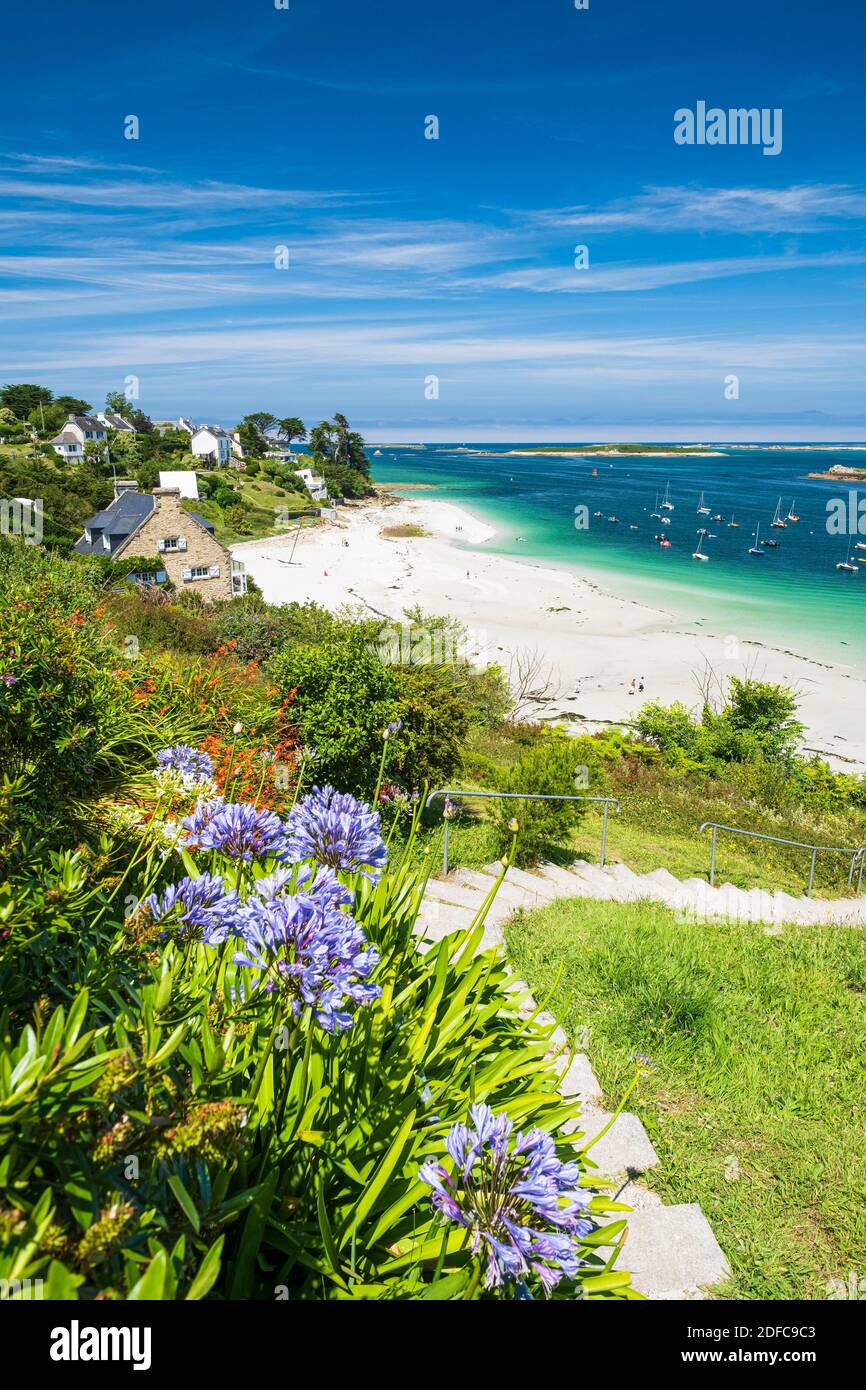 Frankreich, Finistere, Abers Country, Legendes Coast, aber Benoit, Saint-Pabu, Beniguet Beach Stockfoto