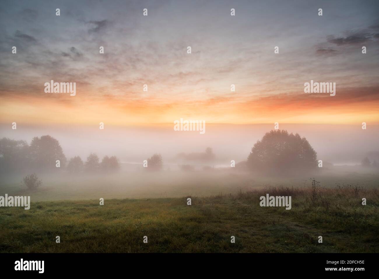 Landschaft, Nebel, Nebel, nebliger Sonnenaufgang, schöner Morgen, Wolken, Himmel Stockfoto