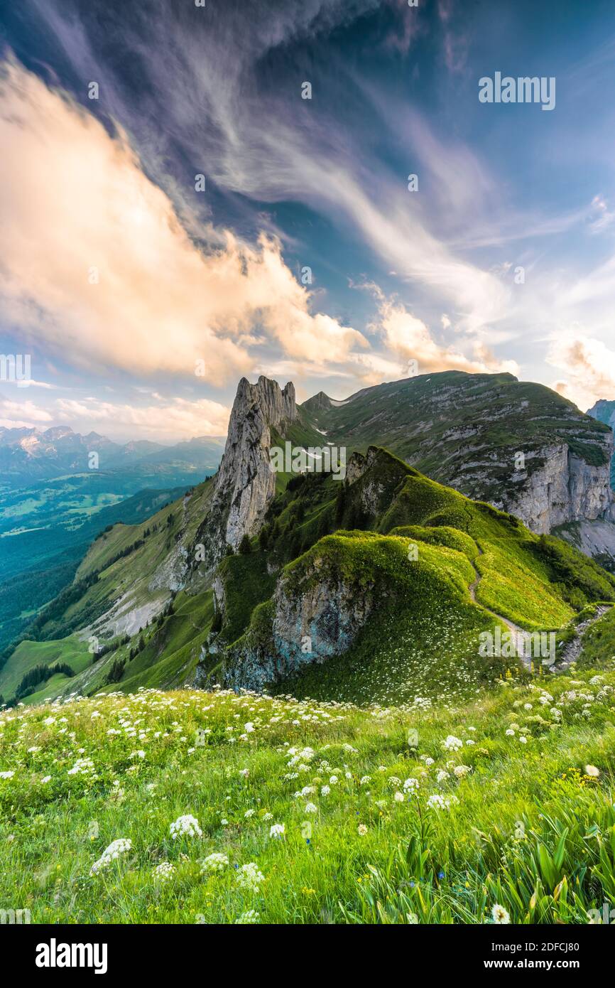 Wolken bei Sonnenuntergang über Saxer Lucke und blühende Wiesen im Sommer, Kanton Appenzell, Alpsteinkette, Schweiz Stockfoto