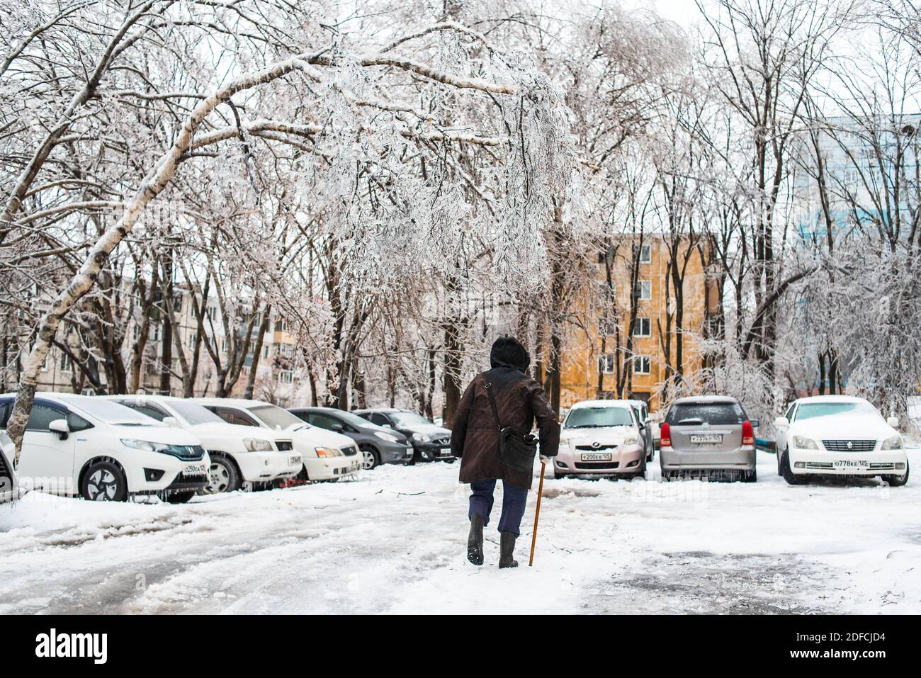 Ältere Frauen gehen auf einer rutschigen Straße die Straße hinunter. Bäume, die mit Eis bedeckt sind und zu Boden gebogen sind. Stadt im Winter. Eissturmwetter. Stockfoto